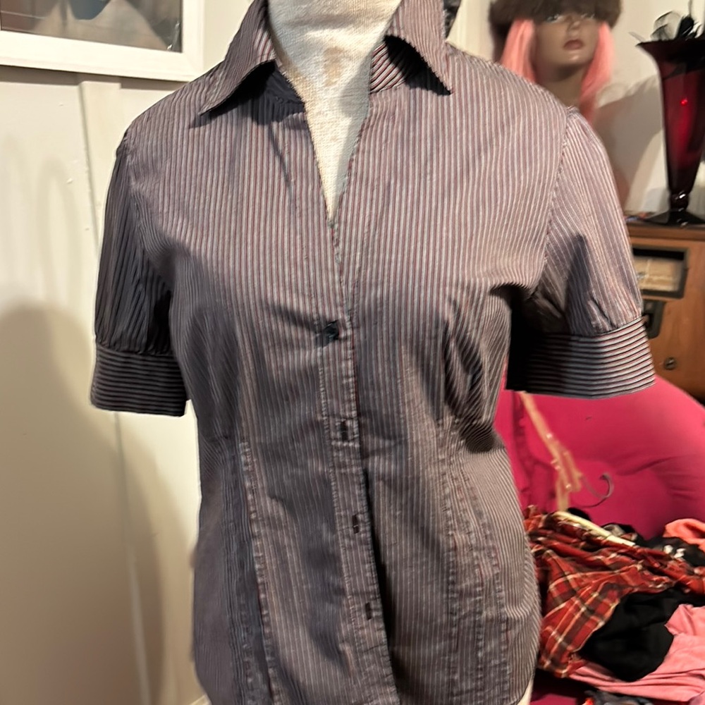 Pin Striped Short Sleeve Fitted Button Down Shirt with Notched Collar
